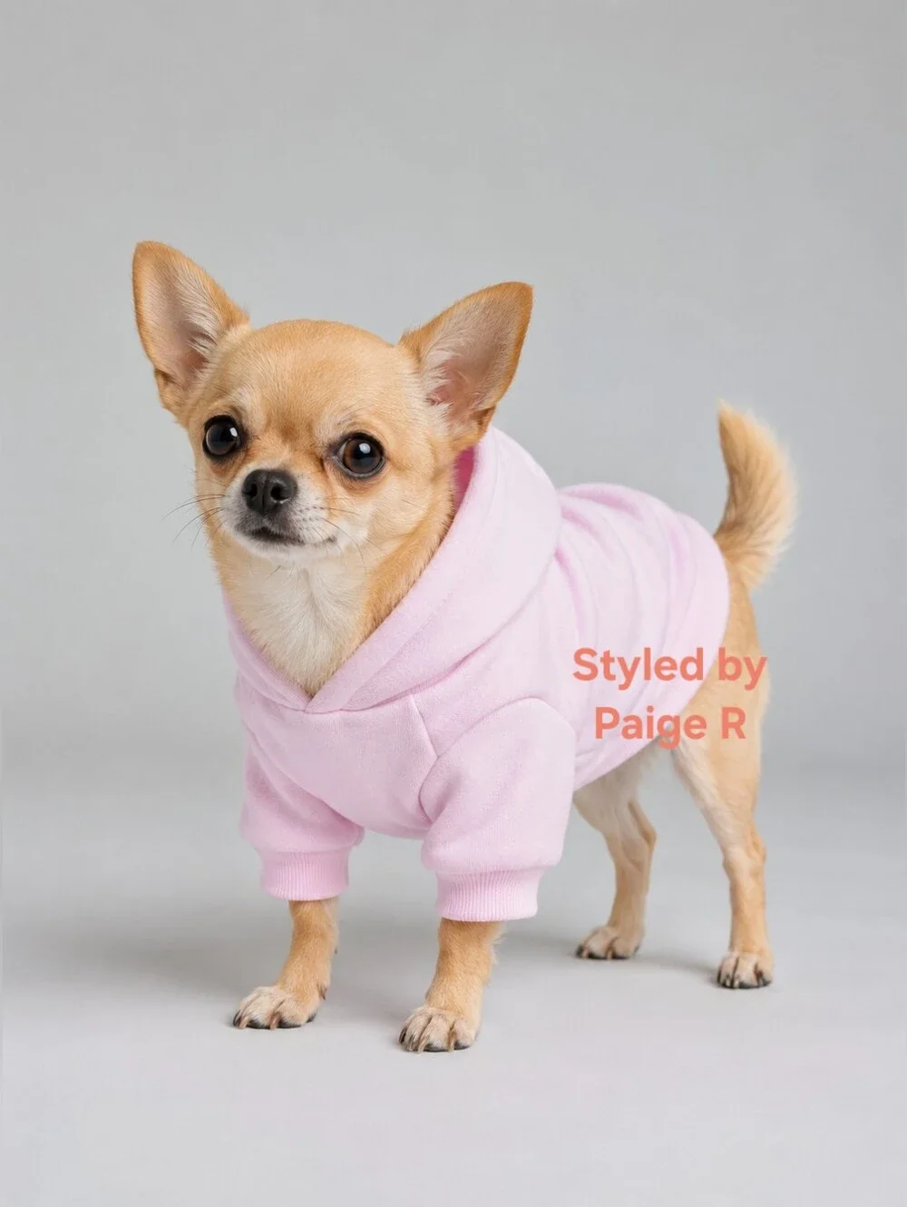 💕NWT COMFRT Minimalist Dog Cat Pet Paw Hoodie Powder Baby Light Pink XS